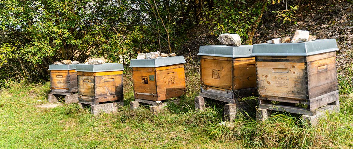Trollius Nachhaltigkeit Bienenvoelker