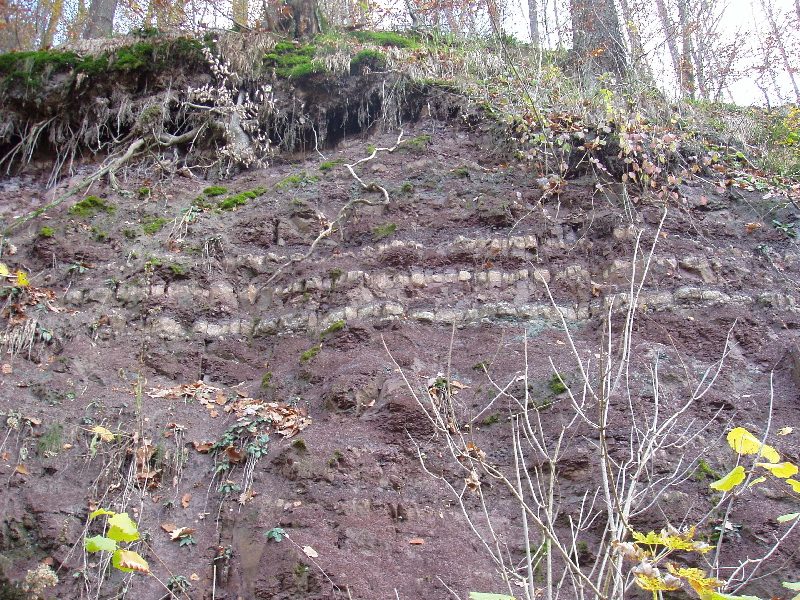 Mergel ist ein Sedimentgestein, welches aus Kalk und Ton besteht. 
